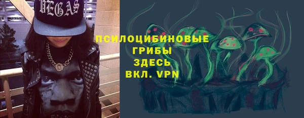 дживик Михайловск