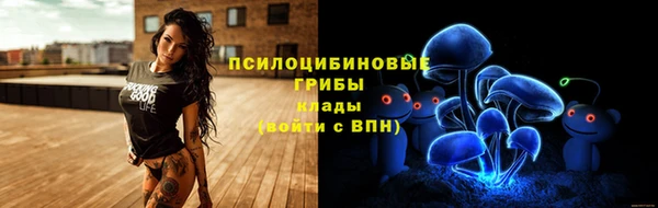 дживик Михайловск