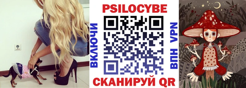 купить наркотик  Алагир  Псилоцибиновые грибы мухоморы 